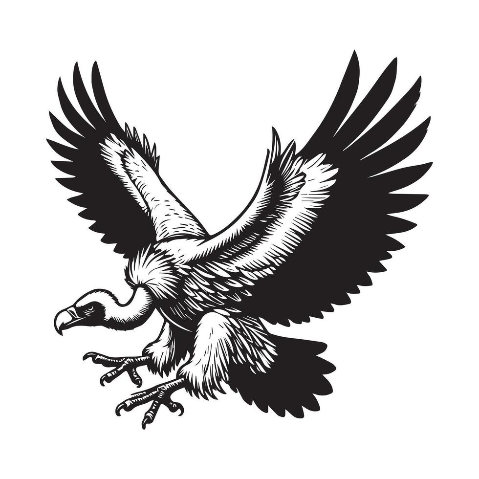 Vulture silhouette, Vulture Bird clipart, Vulture in Mid Flight with Extended Wings illustration vector