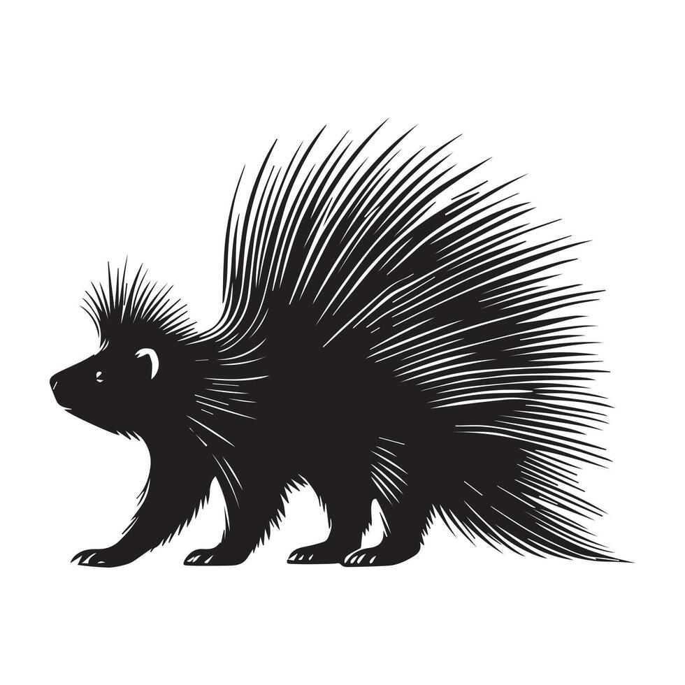 Porcupine silhouette, Porcupine Rodent Clipart, A porcupine Curious Stretch illustration in black and white vector
