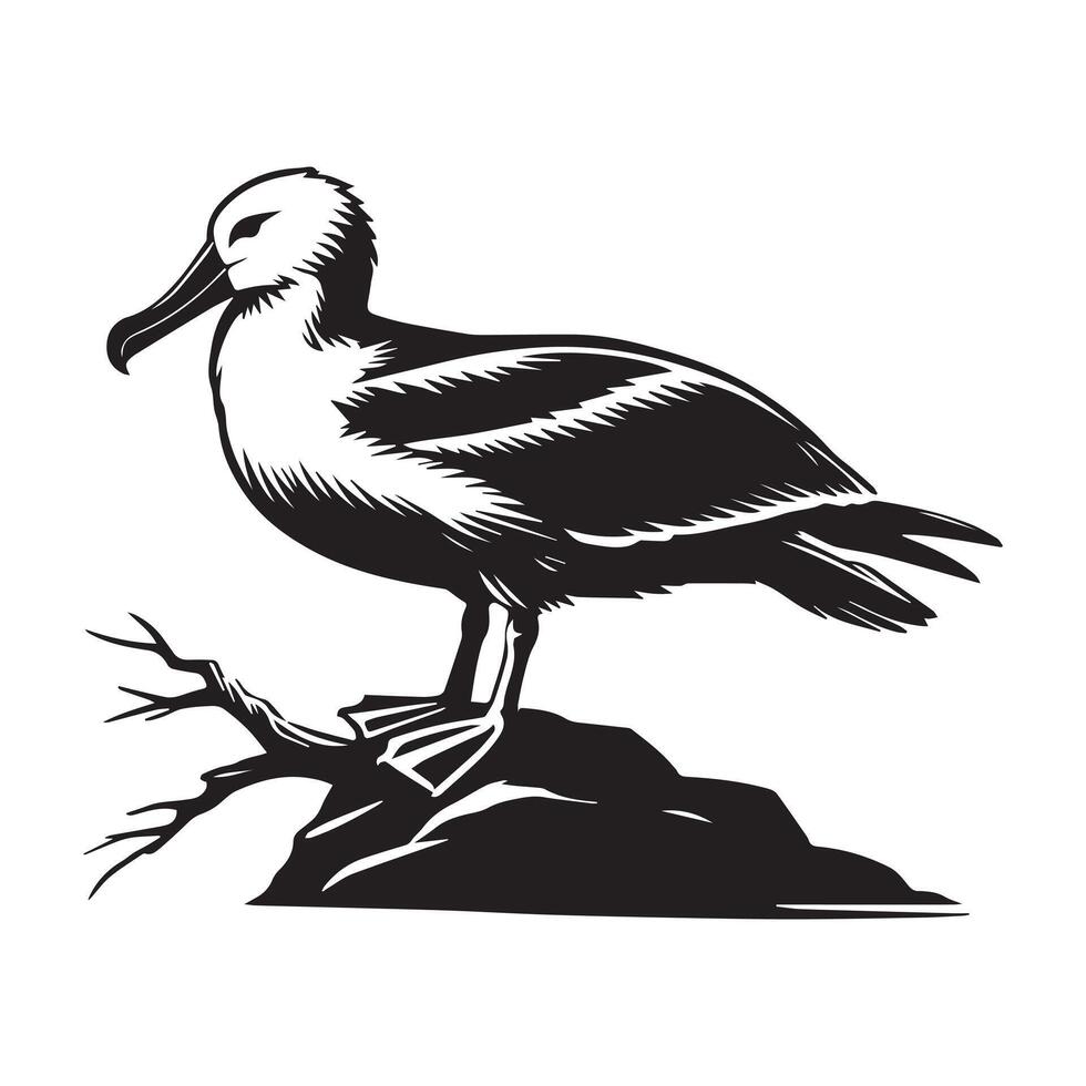 Albatross silhouette, Diomedeidae Bird Clipart, A Perched Albatross illustration in black and white vector