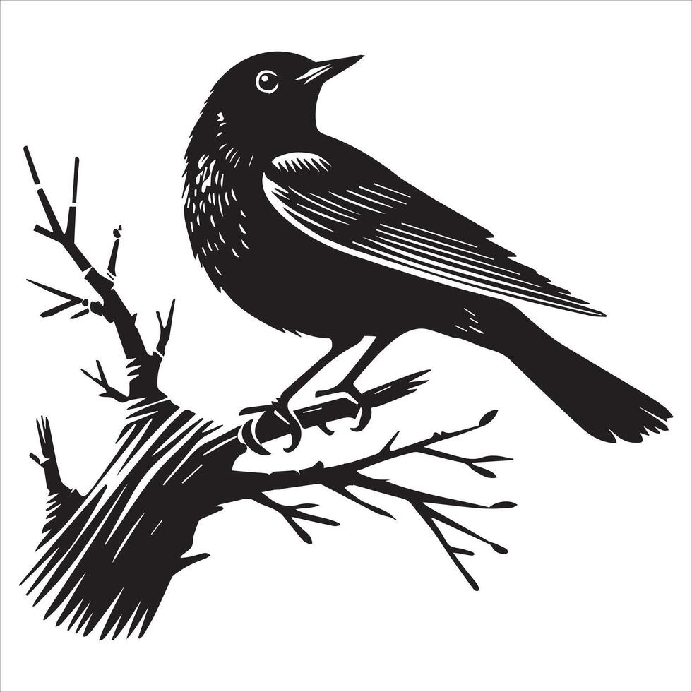 Eurasian blackbird silhouette, Blackbird Clipart, common blackbird perched sideways tree trunk illustration in black and white vector