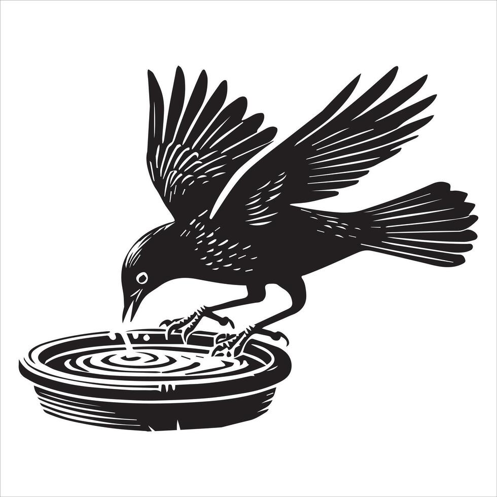 Eurasian blackbird silhouette, Blackbird Clipart, common blackbird drinking illustration in black and white vector