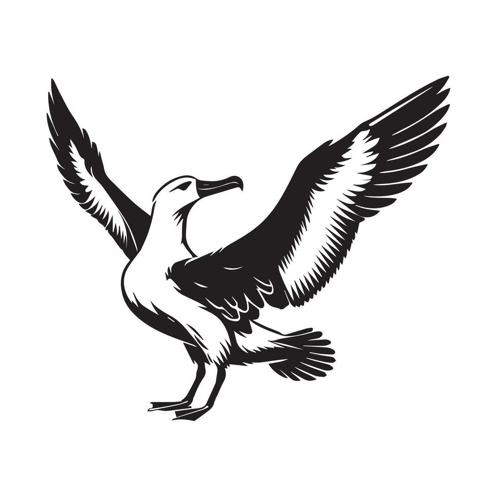 Albatross silhouette, Diomedeidae Bird Clipart, A Albatross Stretching Wings illustration in black and white vector