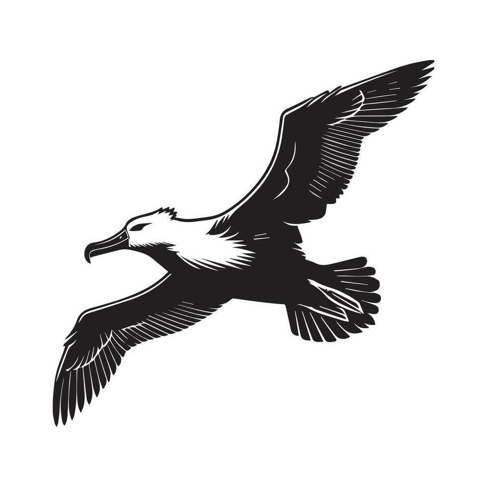 Albatross silhouette, Diomedeidae Bird Clipart, A Gliding Albatross illustration in black and white vector