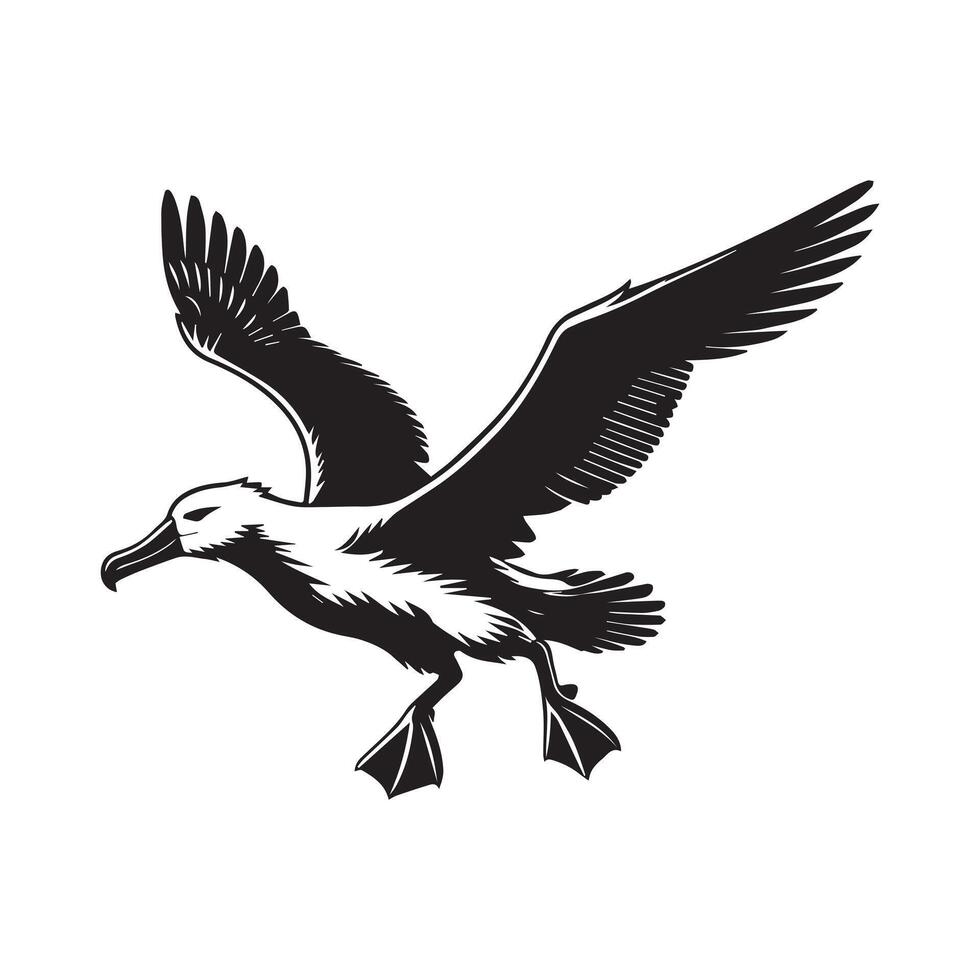 Albatross silhouette, Diomedeidae Bird Clipart, A Albatross Taking Off illustration in black and white vector