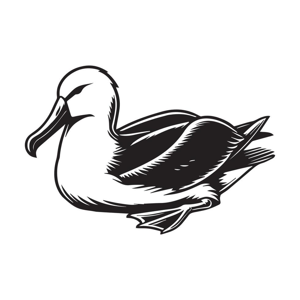 Albatross silhouette, Diomedeidae Bird Clipart, A Resting Albatross illustration in black and white vector