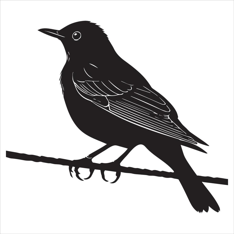 Eurasian blackbird silhouette, Blackbird Clipart, common blackbird Perched on a wire illustration in black and white vector