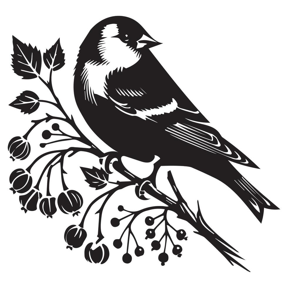 American Goldfinch silhouette, American Goldfinch perched on branch berries illustration in black and white vector