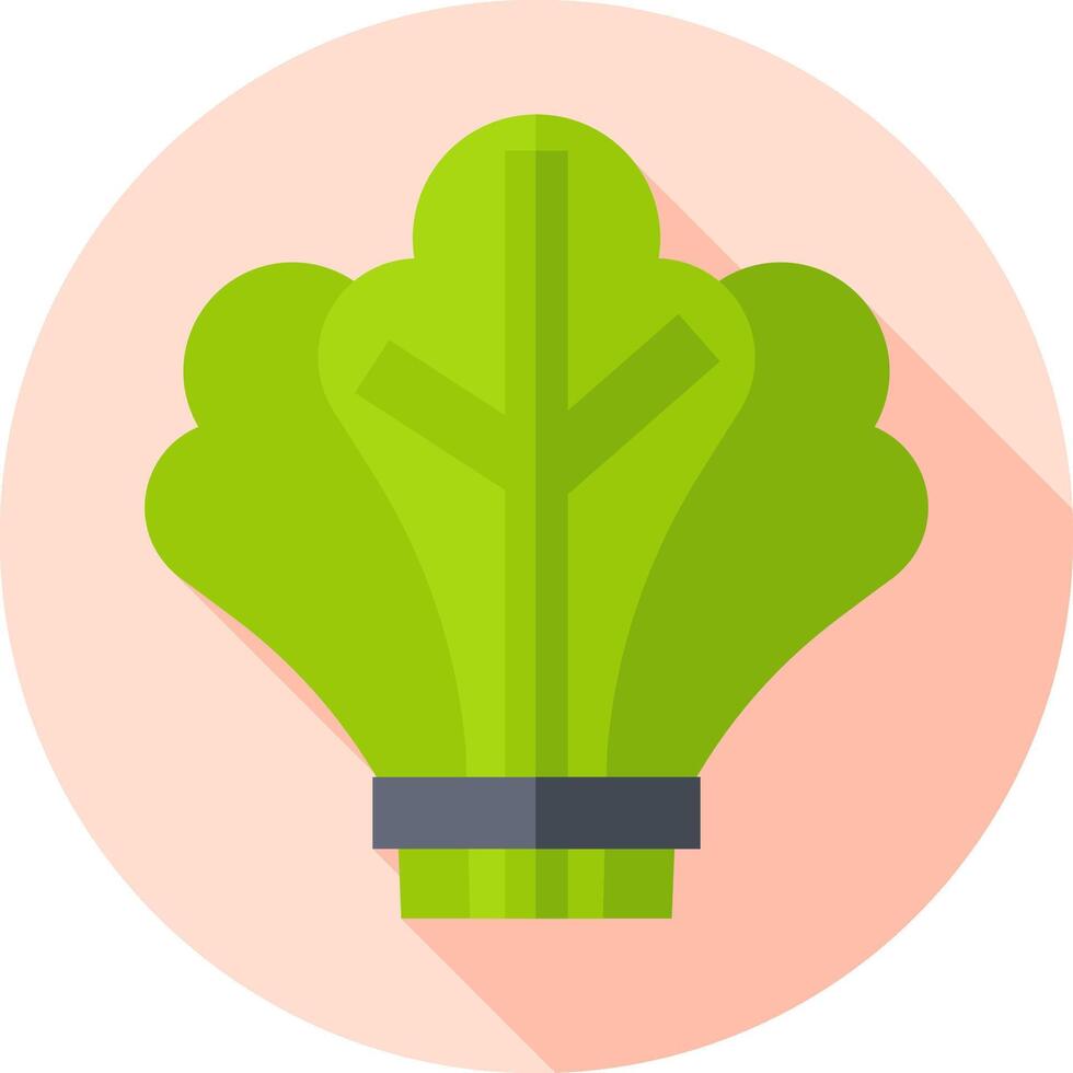spinach illustration design vector