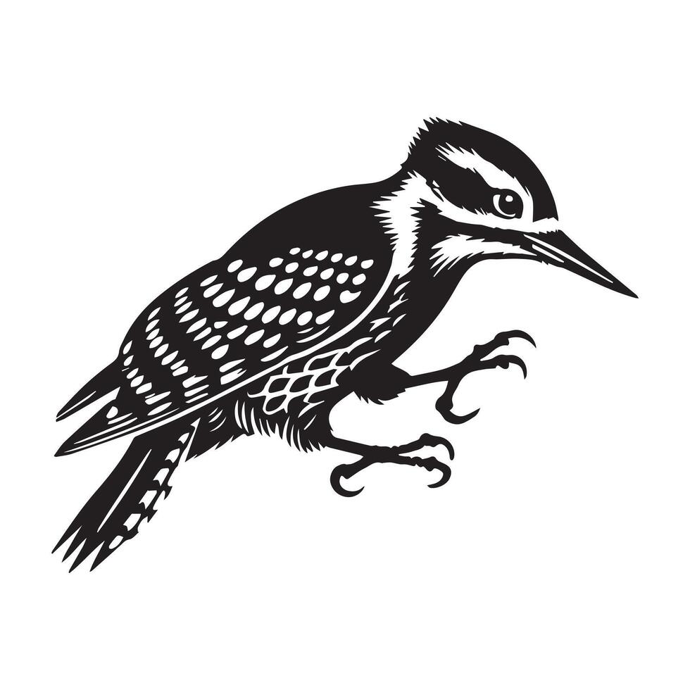 Hairy Woodpecker silhouette, Woodpecker Bird Clipart, Hairy Woodpecker hopping on ground illustration vector