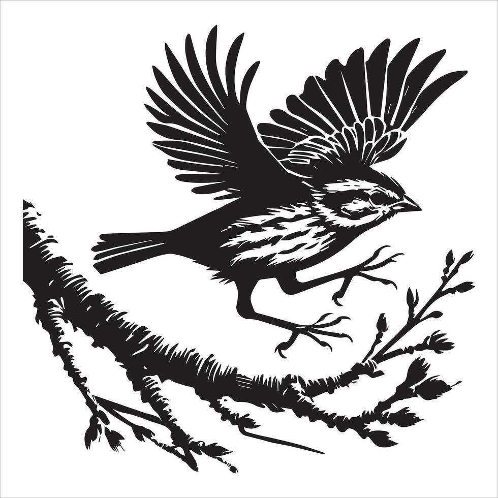 Song sparrow silhouette, Melospiza Melodia Clipart, SongSparrow taking off Illustration vector