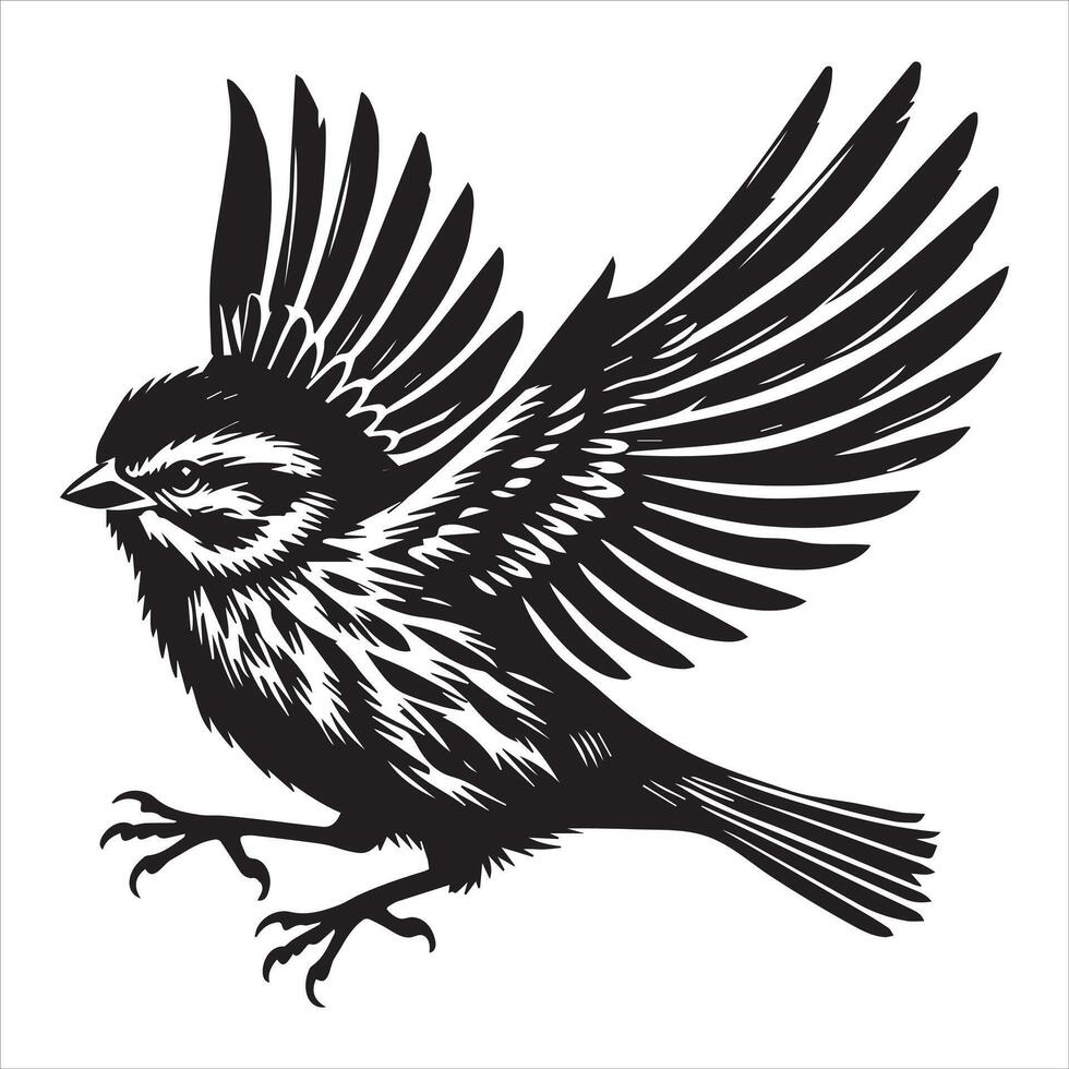 Song sparrow silhouette, Melospiza Melodia Clipart, Song Sparrow in a defensive Illustration vector