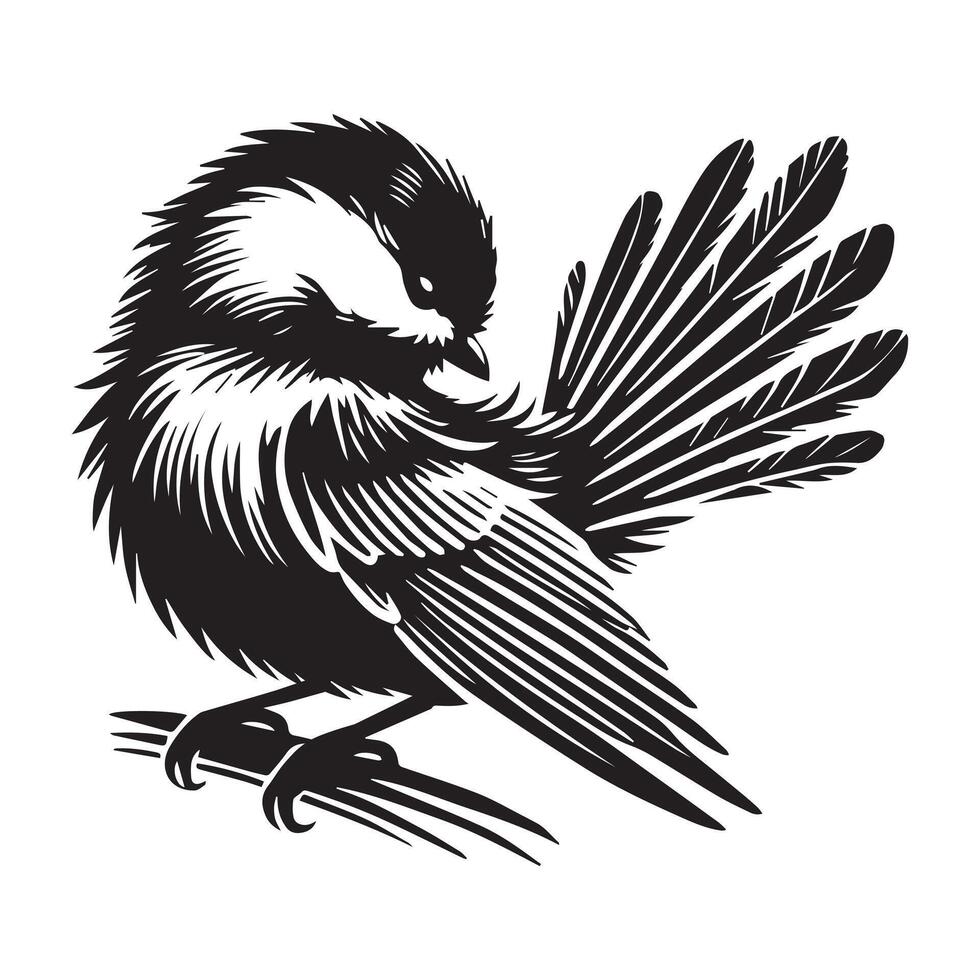 Black-capped Chickadee Bird Clipart - Black-capped Chickadee Preening Feathers illustration in black and white vector
