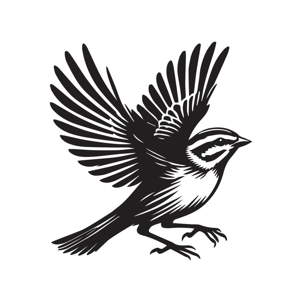 White-throated sparrow silhouette, Sparrow Bird Clipart, White-throated Sparrow in mid-flight illustration in black and white vector