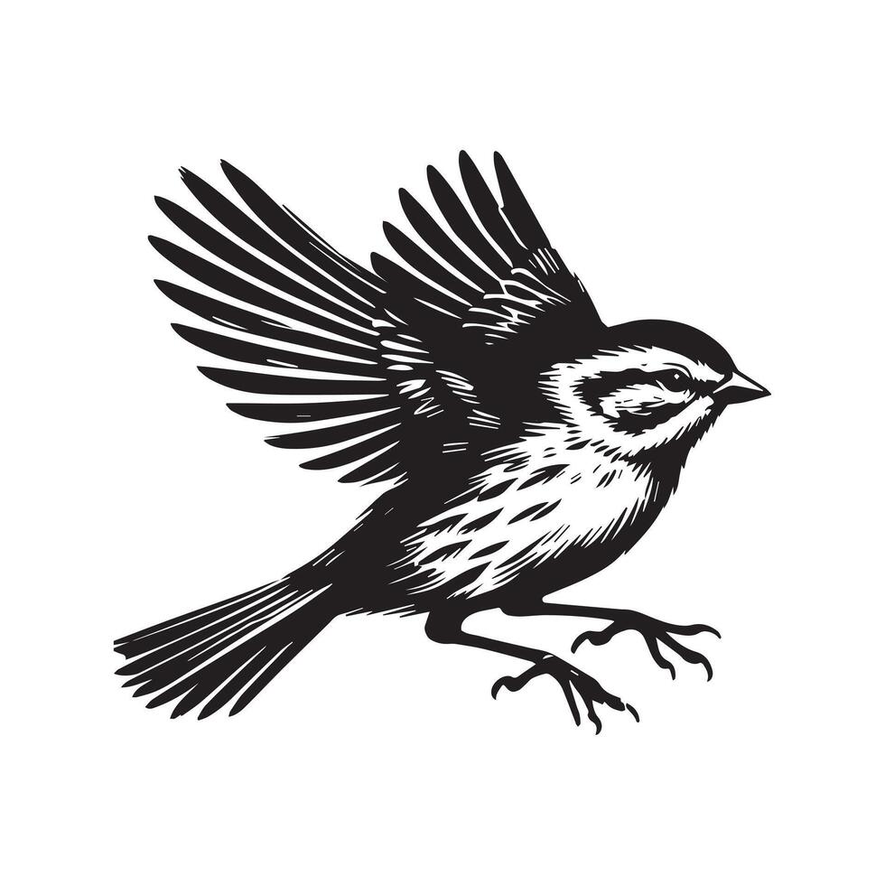 White-throated sparrow silhouette, Sparrow Bird Clipart, White-throated Sparrow wings partially illustration in black and white vector