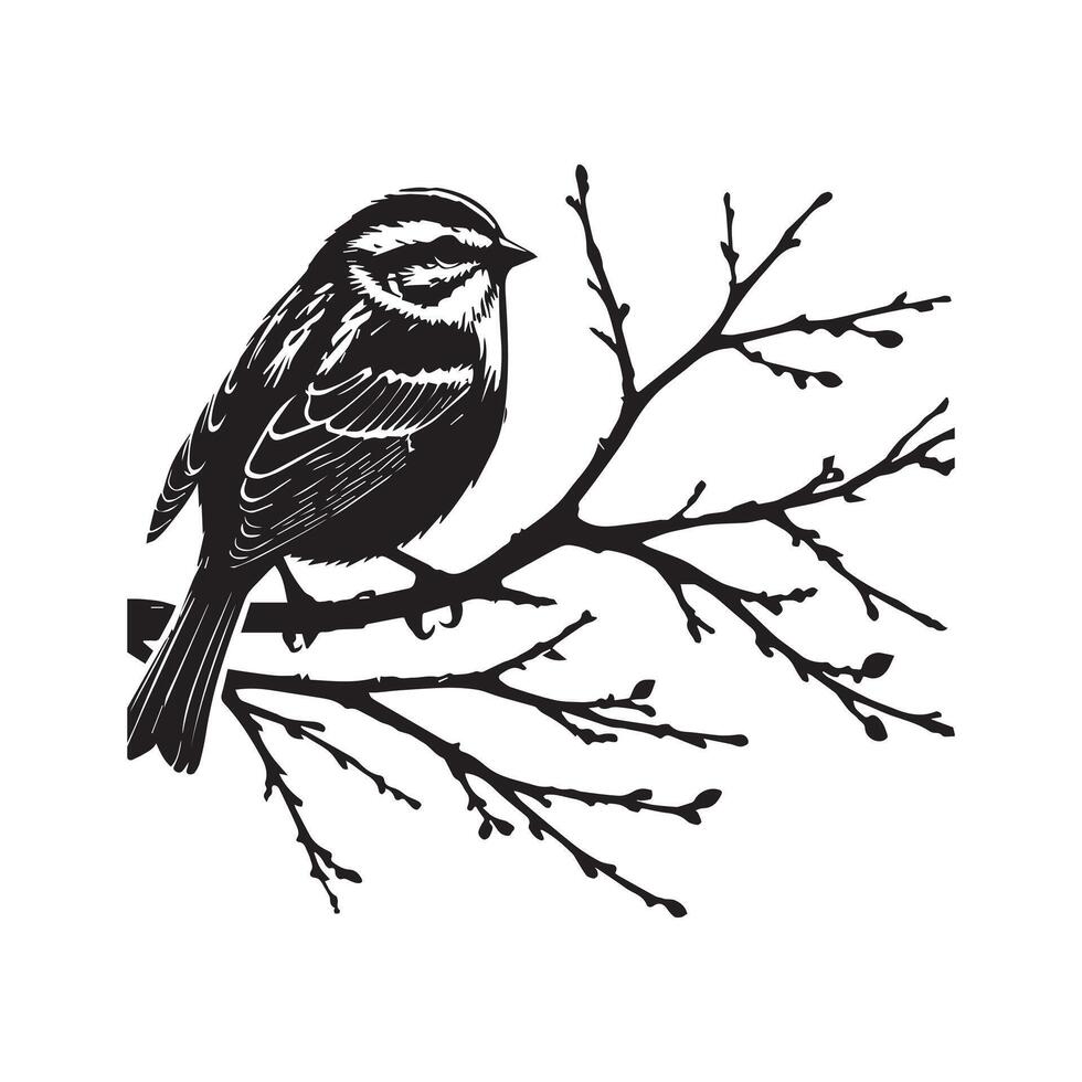 White-throated sparrow silhouette, Sparrow Bird Clipart, White-throated Sparrow leafless branch illustration in black and white vector