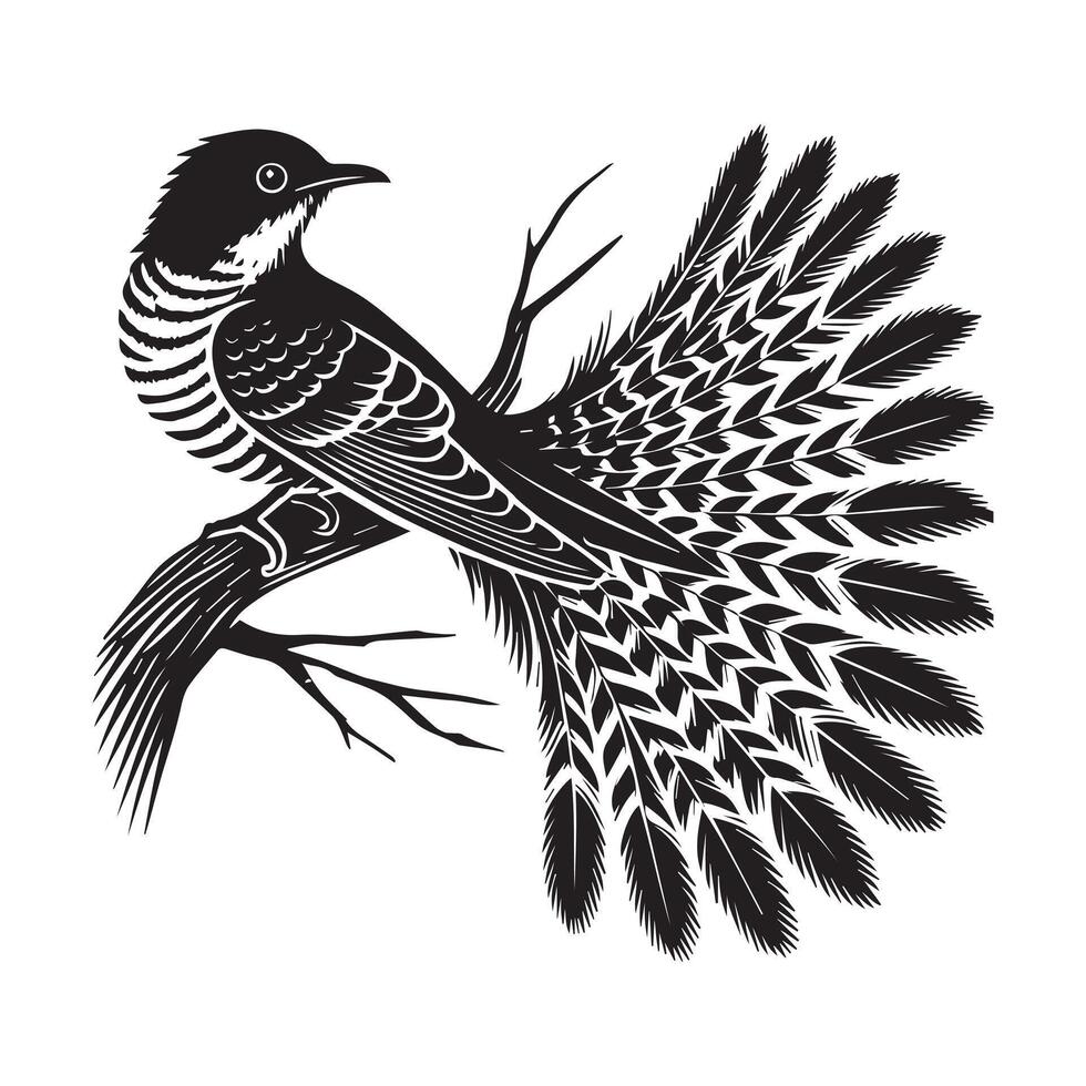 Yellow-billed Cuckoo silhouette, Cuckoo Bird Clipart, Yellow-billed Cuckoo perched tail fanned out Illustration in black and white vector