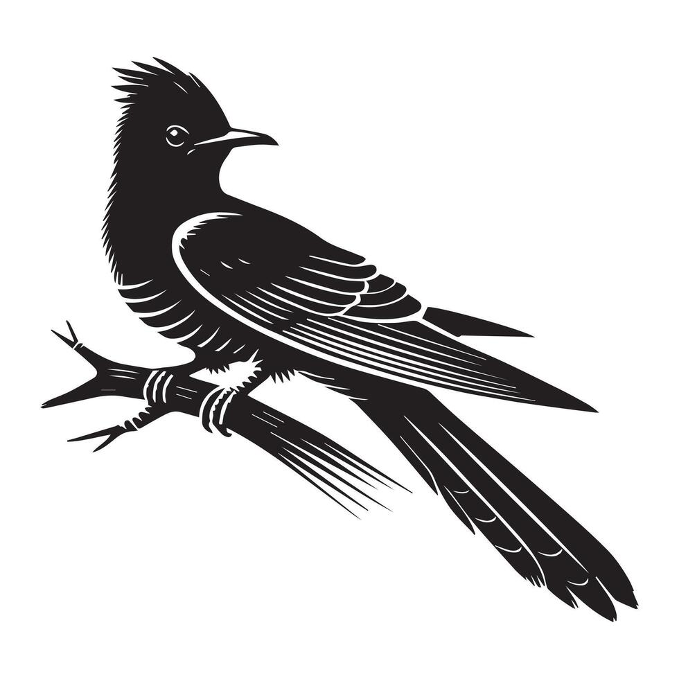 Yellow-billed Cuckoo silhouette, Cuckoo Bird Clipart, Yellow-billed Cuckoo Perched Raised Crest Illustration in black and white vector