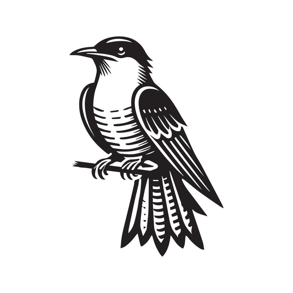 Yellow-billed Cuckoo silhouette, Cuckoo Bird Clipart, Yellow-billed Cuckoo perched Illustration in black and white vector