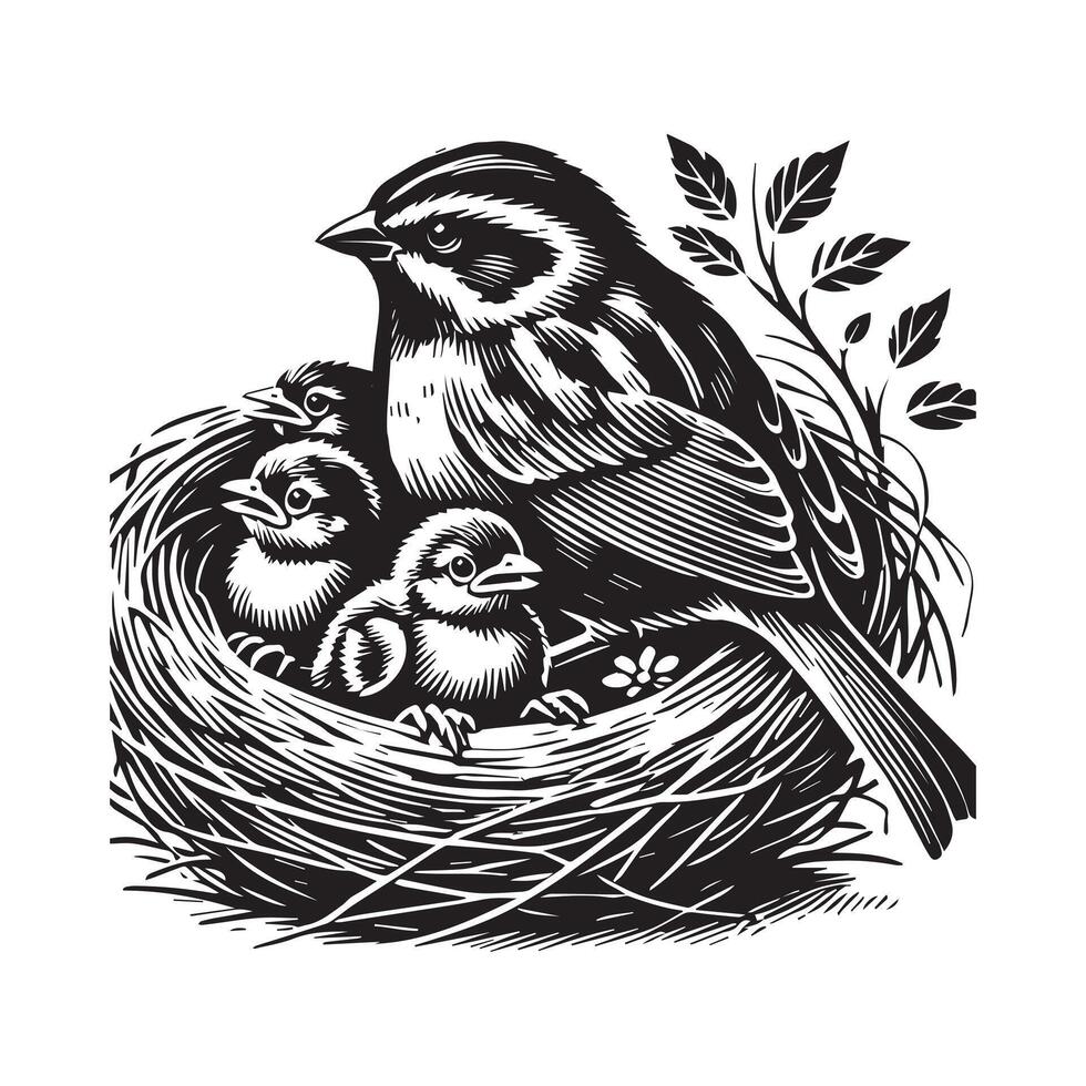 White-throated sparrow silhouette, Sparrow Bird Clipart, White-throated Sparrow nest with chicks illustration vector