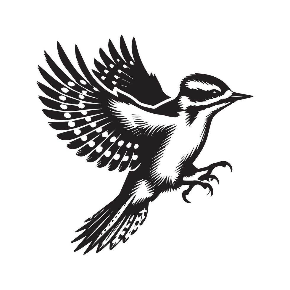 Downy woodpecker silhouette, Woodpecker Bird Clipart, Letteringdowny woodpecker flight wings fully illustration vector