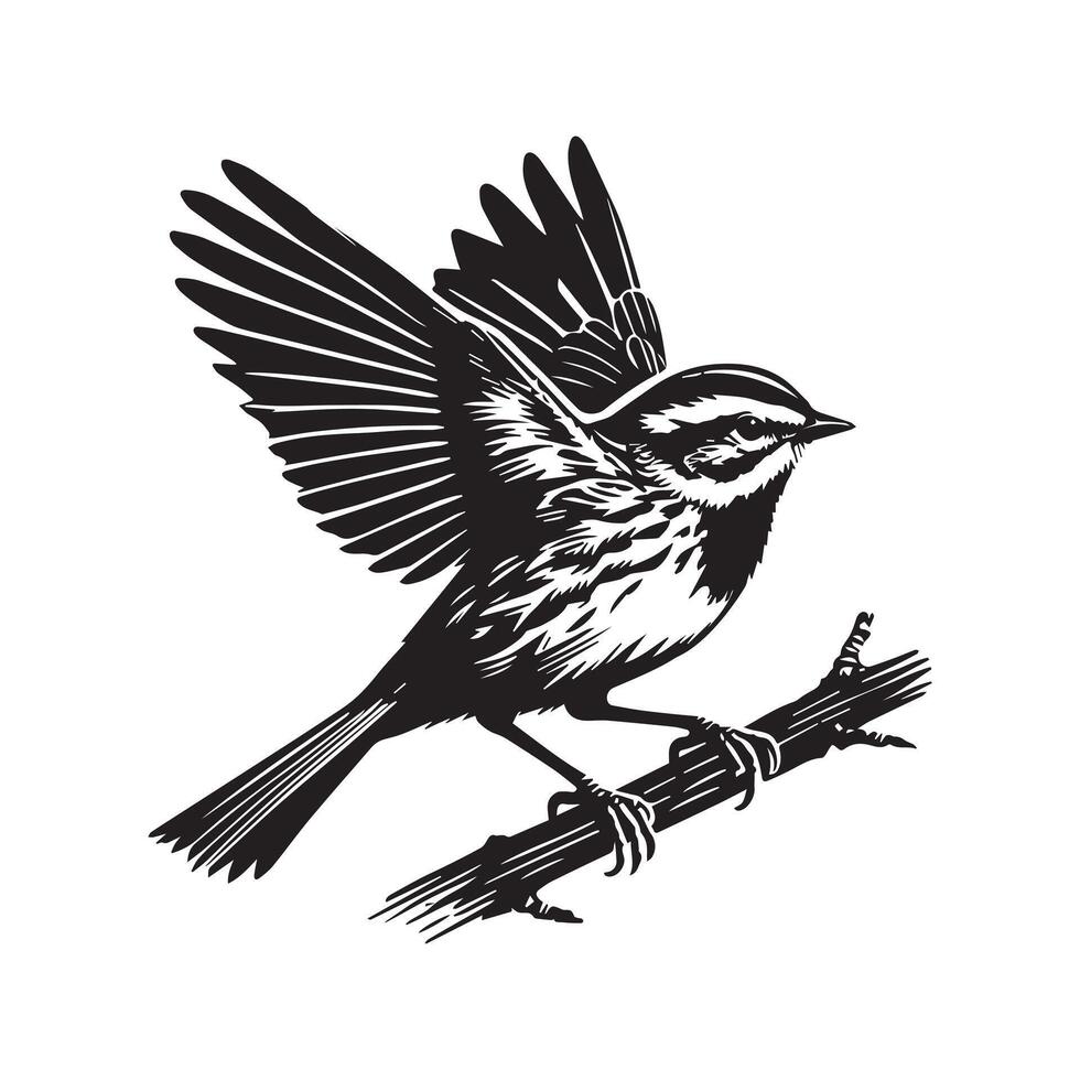 White-throated sparrow silhouette, Sparrow Bird Clipart, White-throated Sparrow stretching wings while perched illustration vector