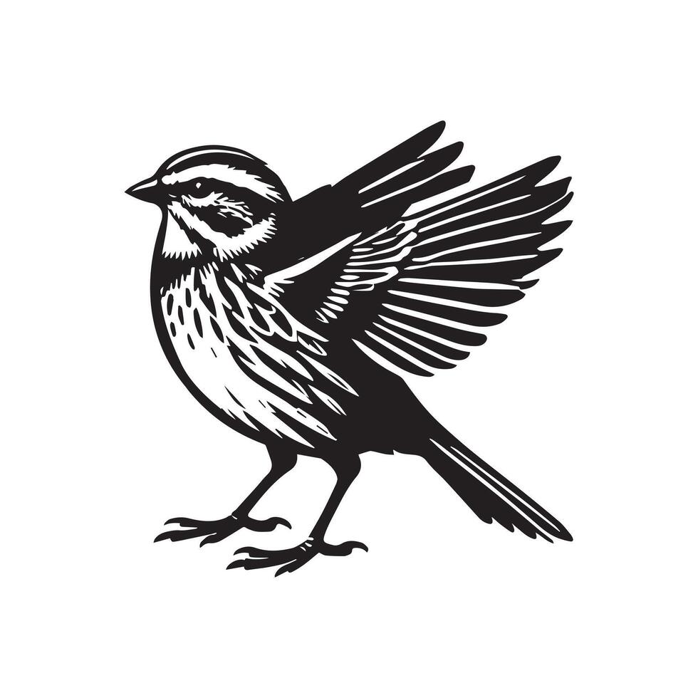 White-throated sparrow silhouette, Sparrow Bird Clipart, White-throated Sparrow standing illustration in black and white vector