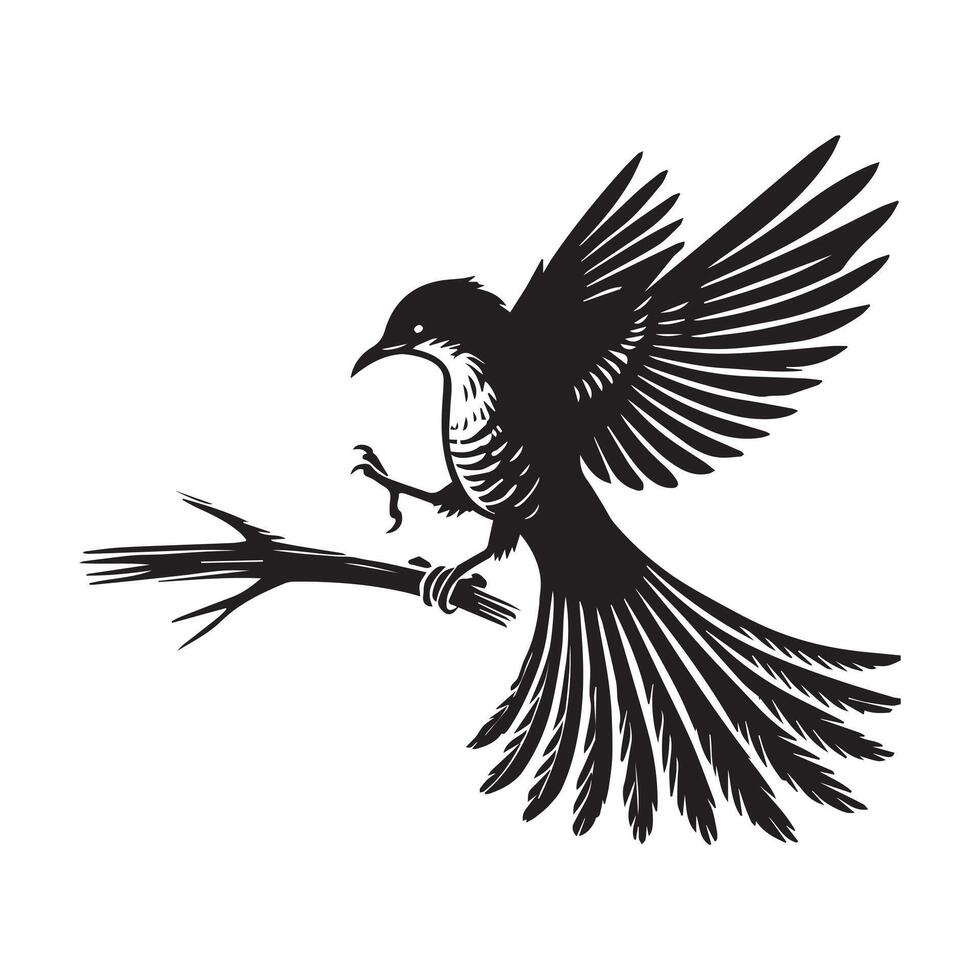 Yellow-billed Cuckoo silhouette, Cuckoo Bird Clipart, Yellow-billed cuckoo balancing on a branch Illustration in black and white vector