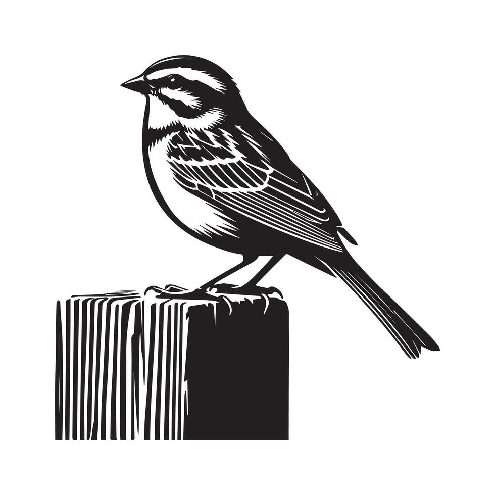 White-throated sparrow silhouette, Sparrow Bird Clipart, White-throated Sparrow on fence post illustration in black and white vector