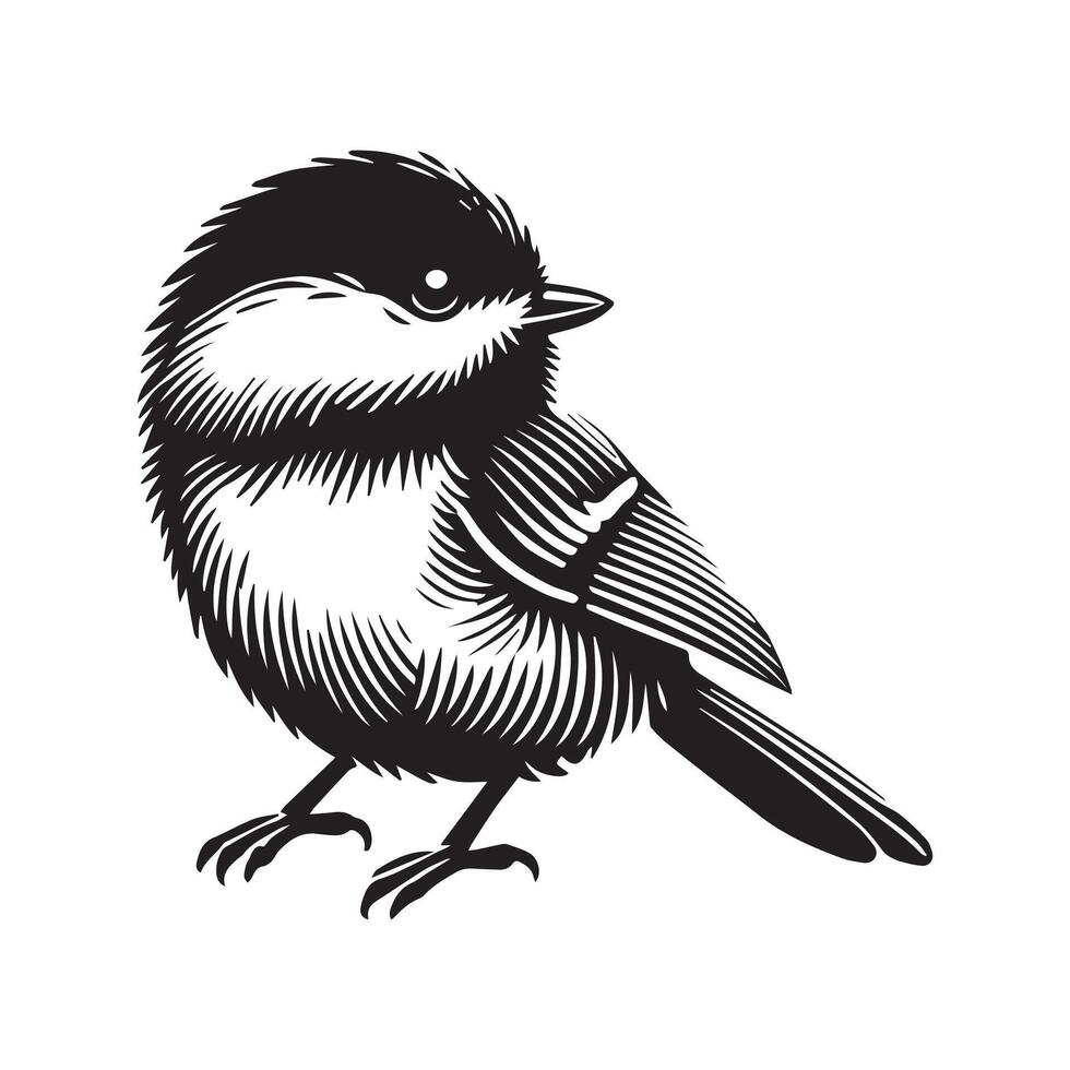 Black-capped Chickadee Bird Clipart - Black-capped Chickadee Looking Sideways illustration in black and white vector