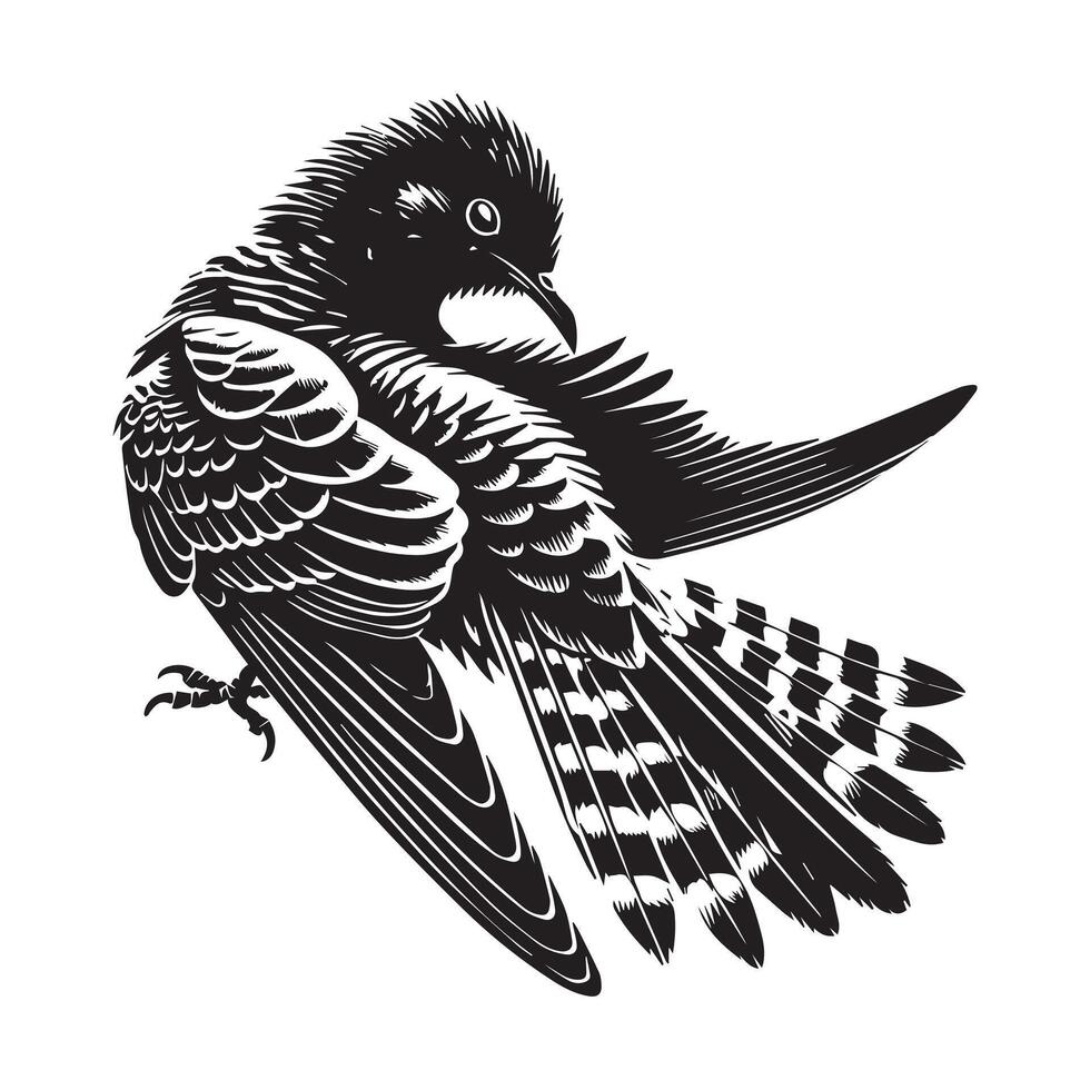 Common Cuckoo silhouette, European Cuckoo Bird Clipart, Common Cuckoo preening feathers Illustration in black and white vector