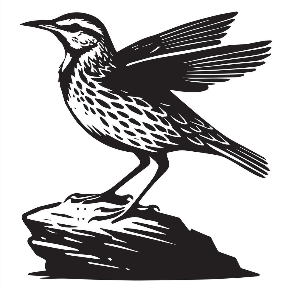 Western meadowlark silhouette, Meadowlark Bird Clipart, Western meadowlark wings folded Illustration vector