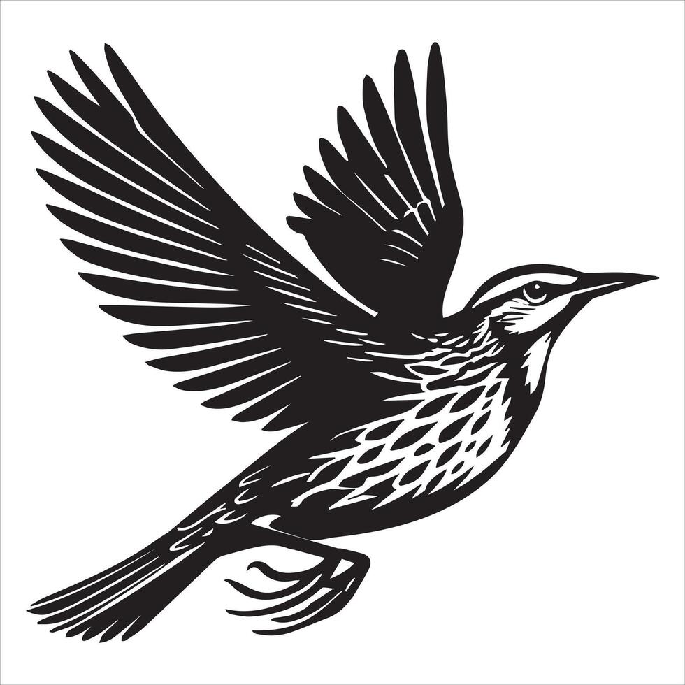 Western meadowlark silhouette, Meadowlark Bird Clipart, Western Meadowlark in gliding flight Illustration vector