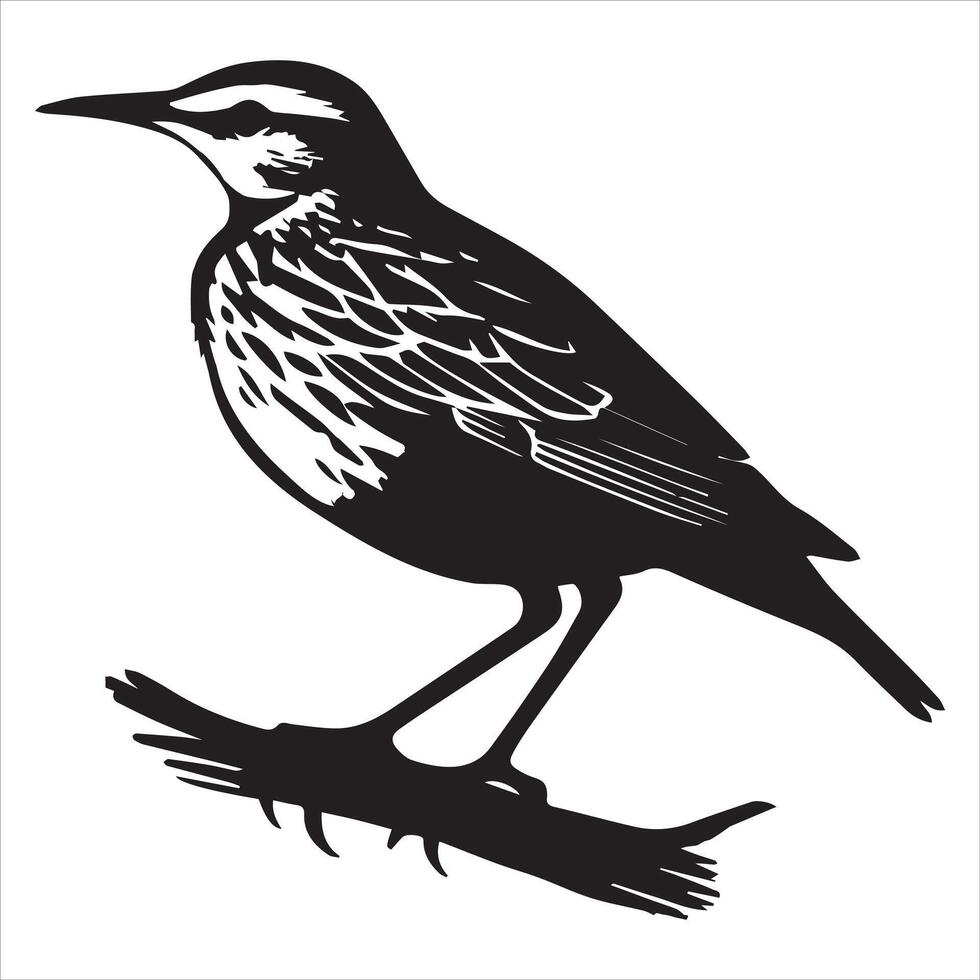 Western meadowlark silhouette, Meadowlark Bird Clipart, Western Meadowlark facing right Illustration vector