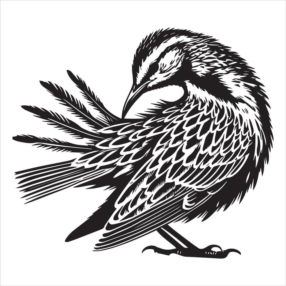 Western meadowlark silhouette, Meadowlark Bird Clipart, Western Meadowlark preening feathers Illustration in black and white vector