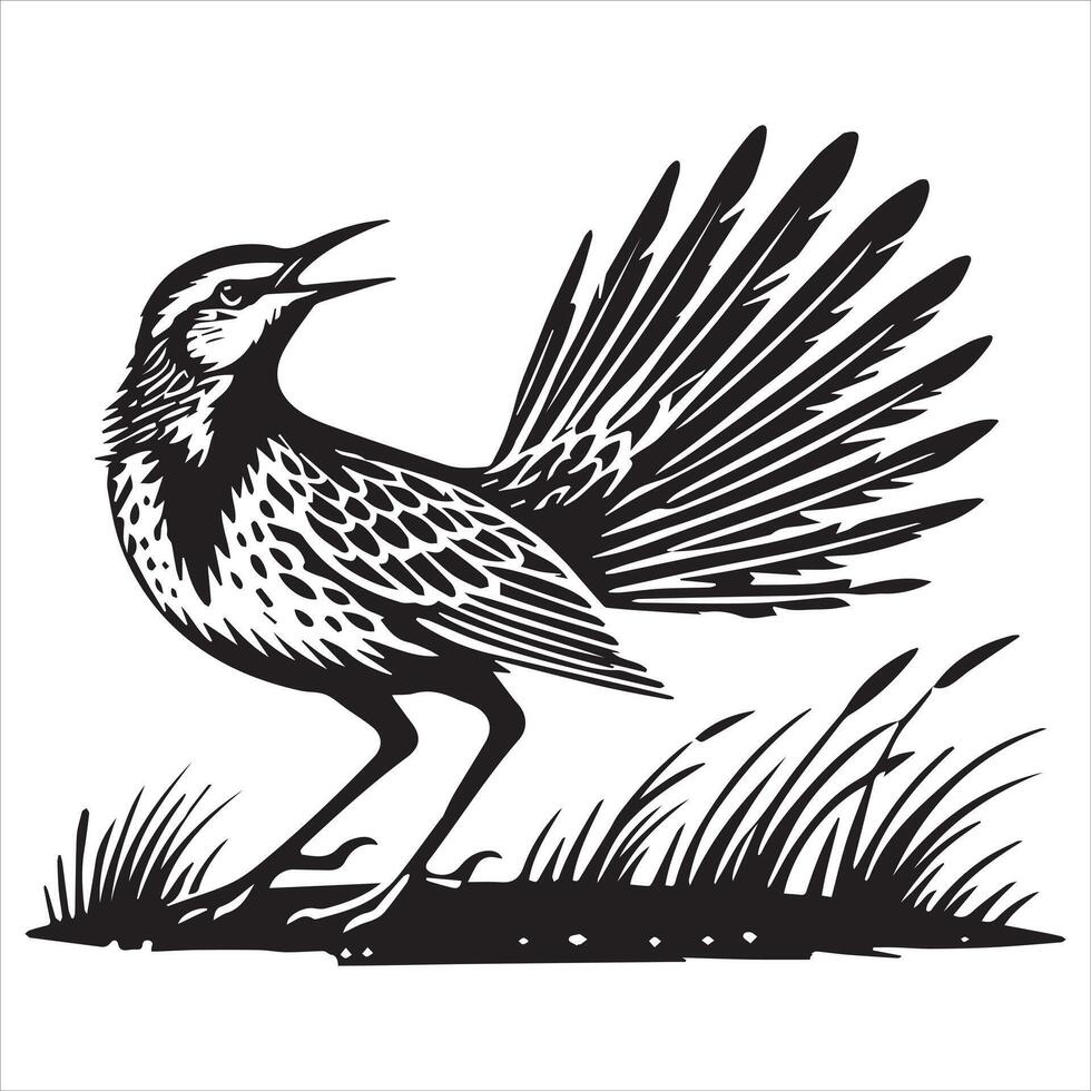 Western meadowlark silhouette, Meadowlark Bird Clipart, Western meadowlark tail fanned out Illustration vector