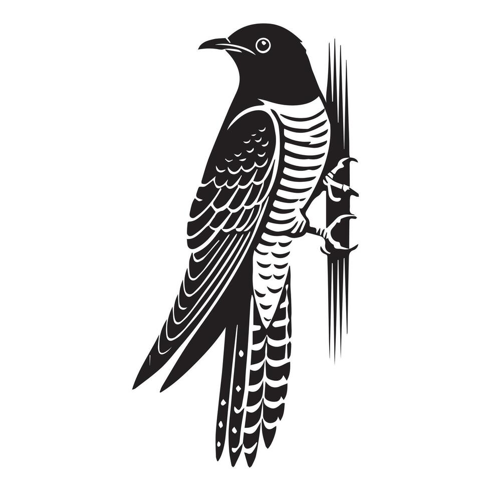 Common Cuckoo silhouette, European cuckoo Bird Clipart, Common Cuckoo clinging to a vertical surface Illustration in black and white vector