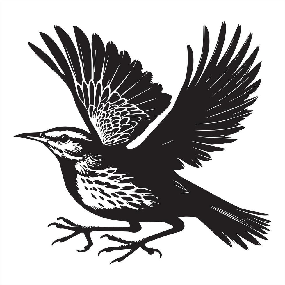 Western meadowlark silhouette, Meadowlark Bird Clipart, Western Meadowlark take off Illustration vector