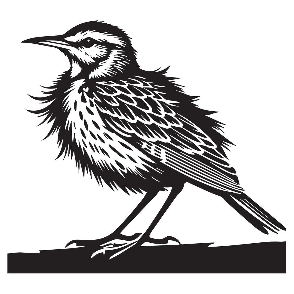 Western meadowlark silhouette, Meadowlark Bird Clipart, Western meadowlark in a relaxed Illustration vector