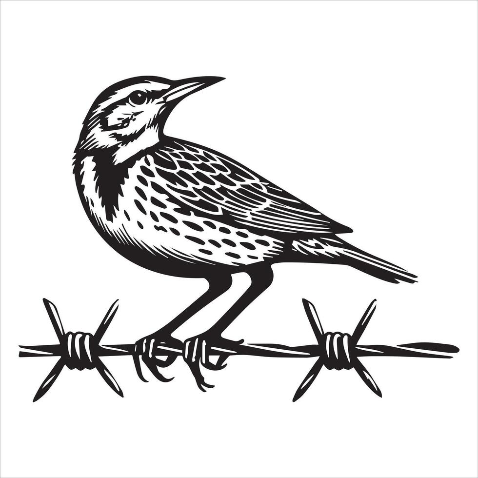Western meadowlark silhouette, Meadowlark Bird Clipart, Western meadowlark standing on fence wire Illustration vector