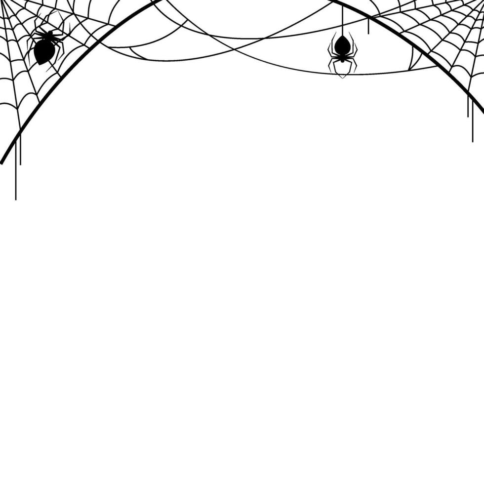 Abstract Line Halloween Spider Web Border vector