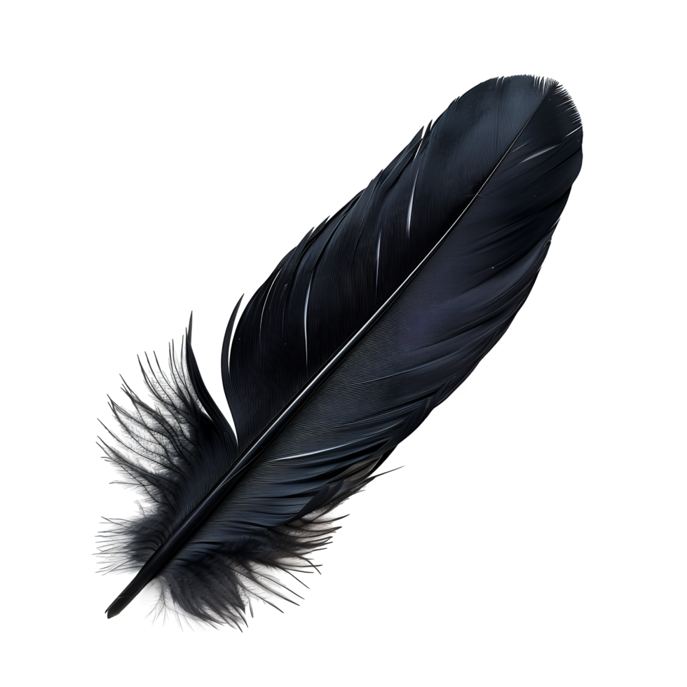 Black Feather Isolated on Transparent Background png