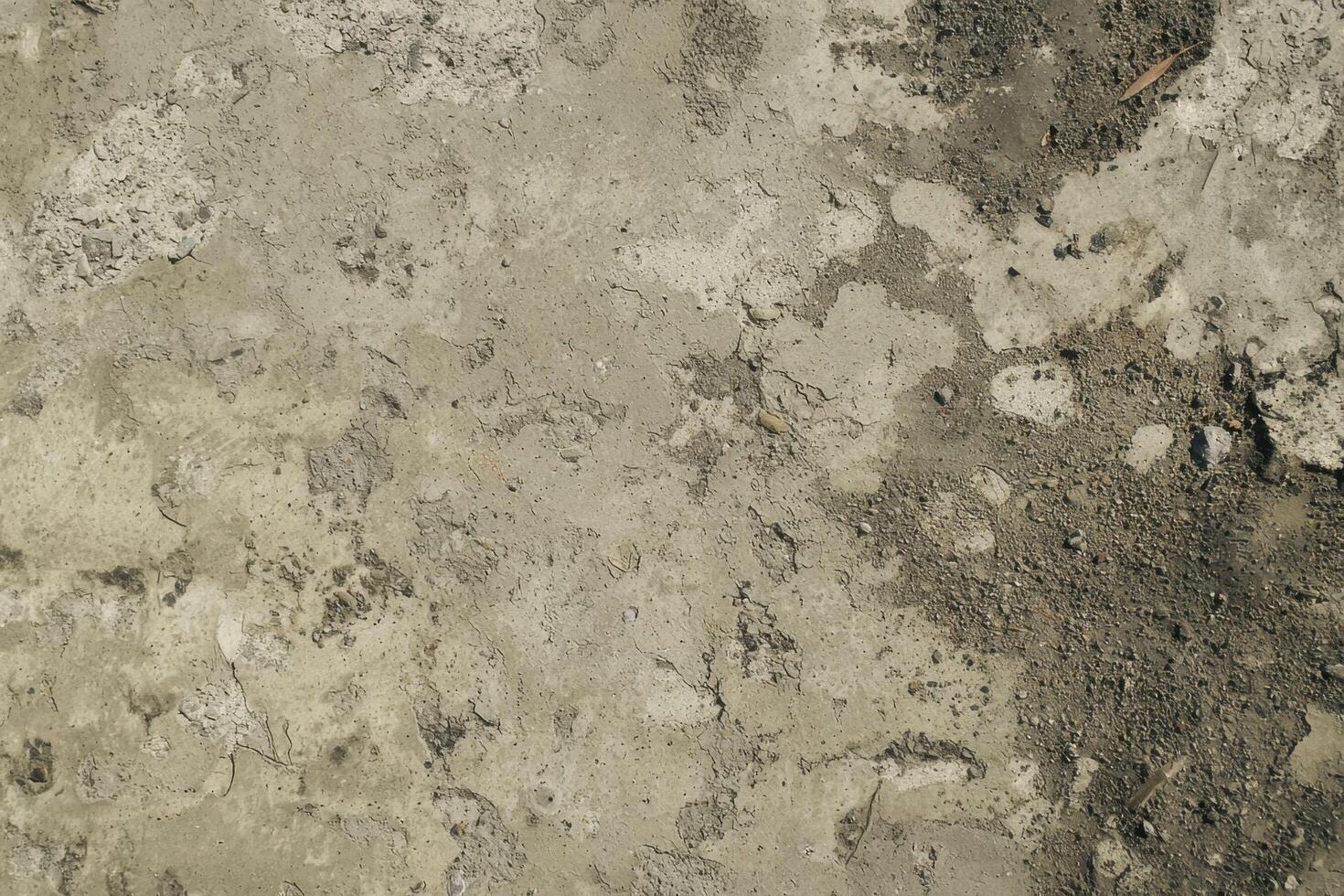 A cement texture background offers a rugged, industrial look with subtle variations in tone and texture photo