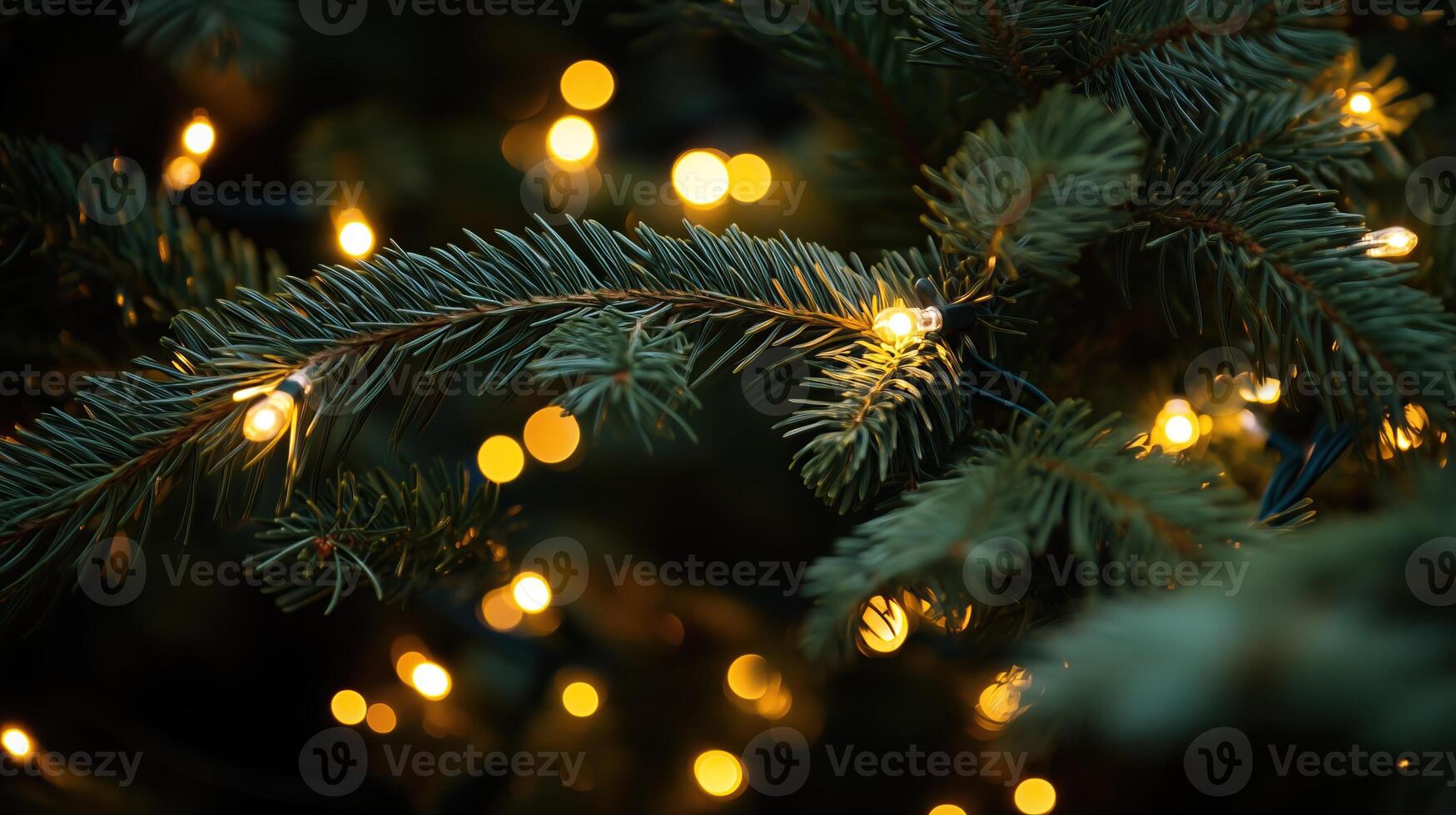 Close-up of pine tree branches adorned with glowing Christmas lights photo