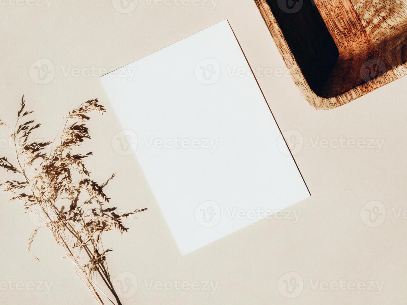 White blank card for text mockup, dry plant and wooden tray on beige background. photo