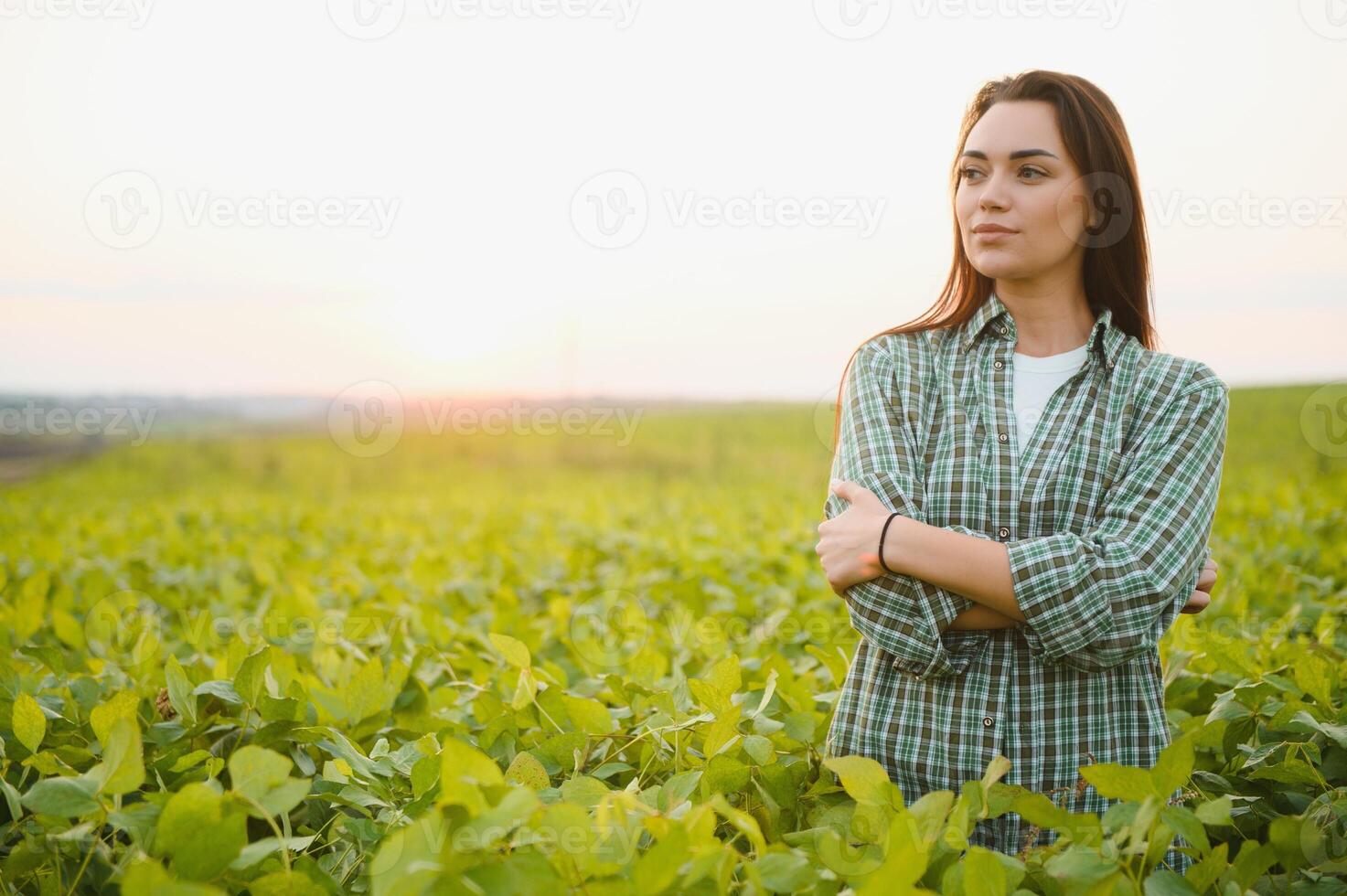 Female farmer or agronomist examining green soybean plants in field photo