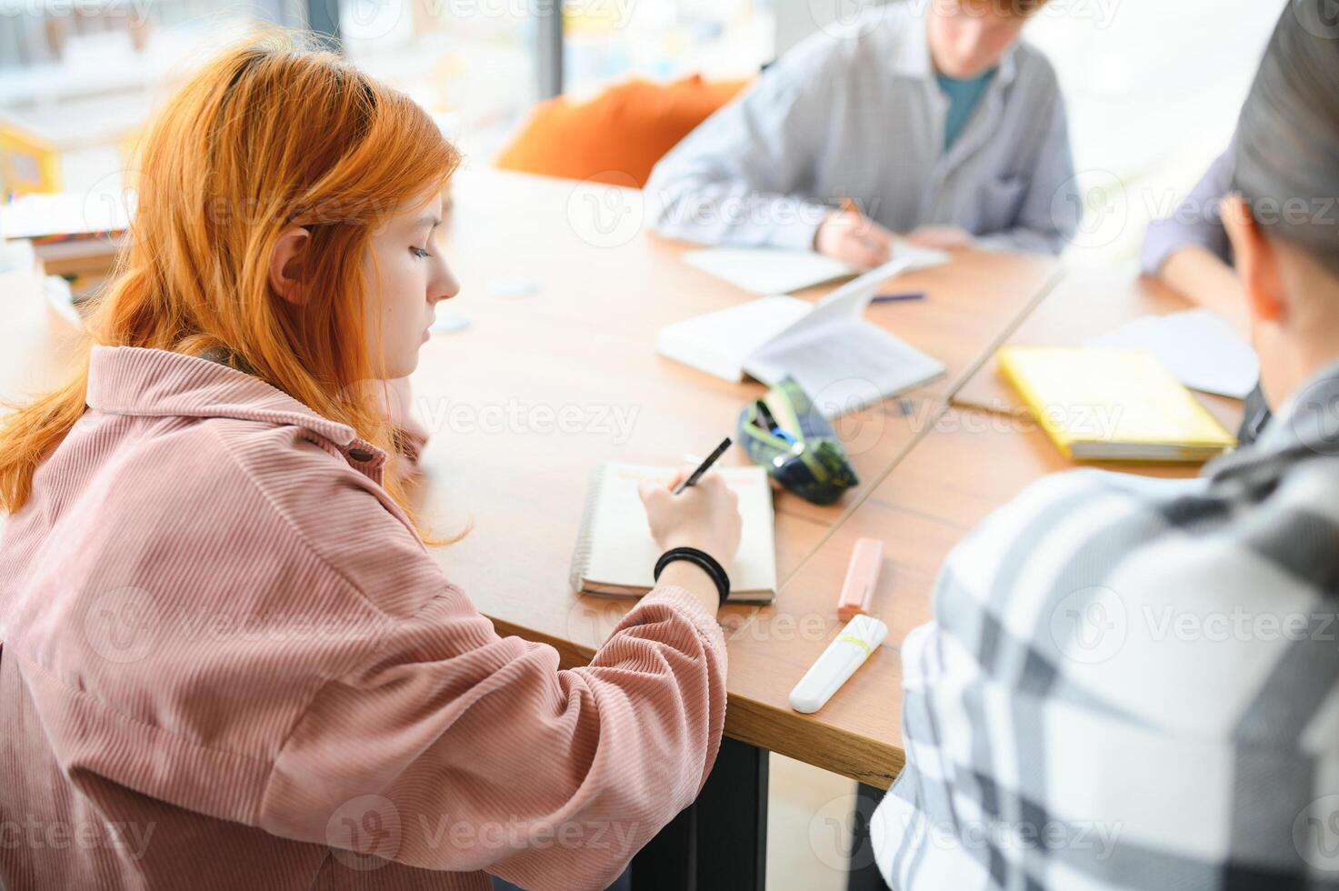 Group of college students doing homework photo
