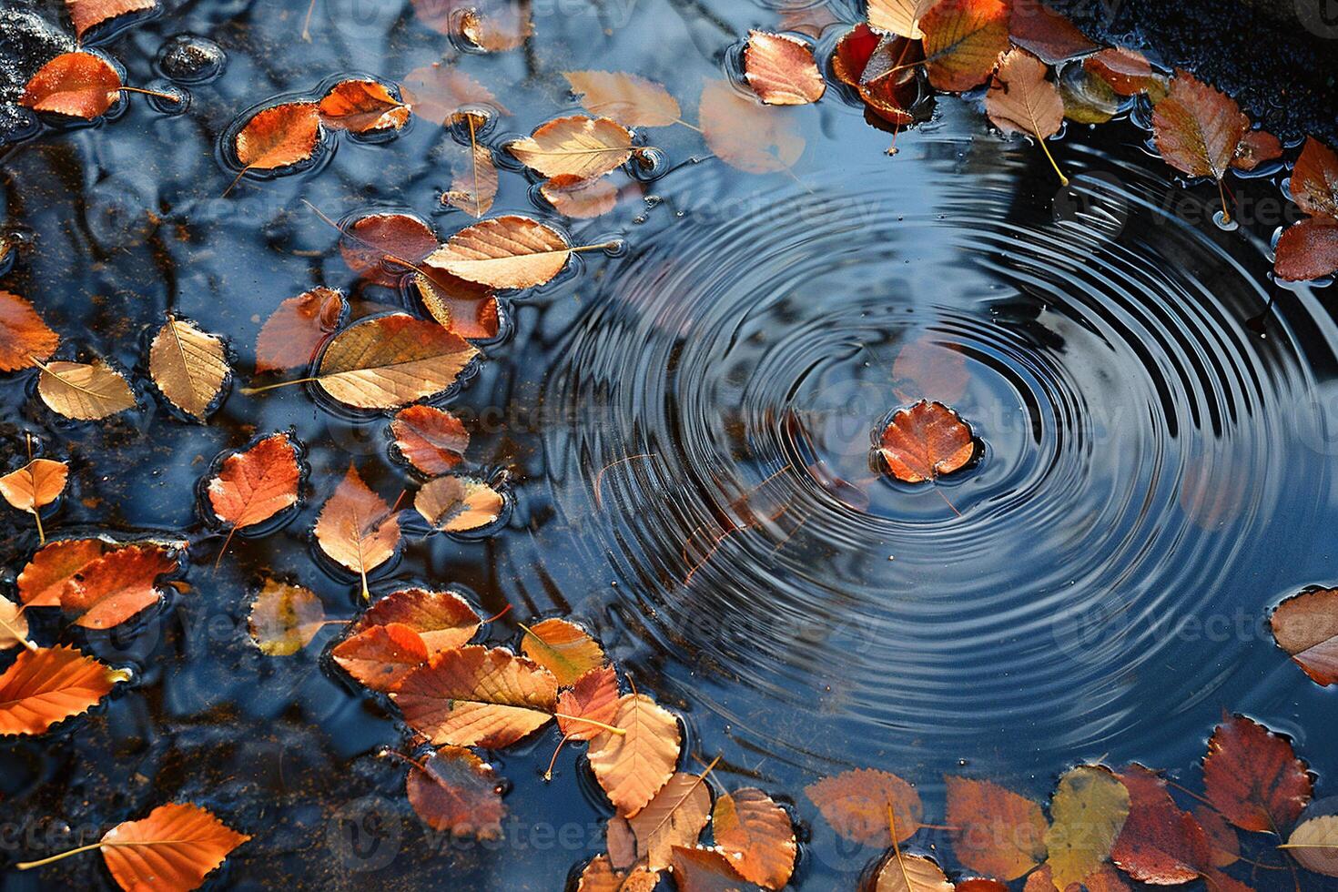 Yellowed autumn leaves lie in a puddle on a sunny day. Autumn background photo