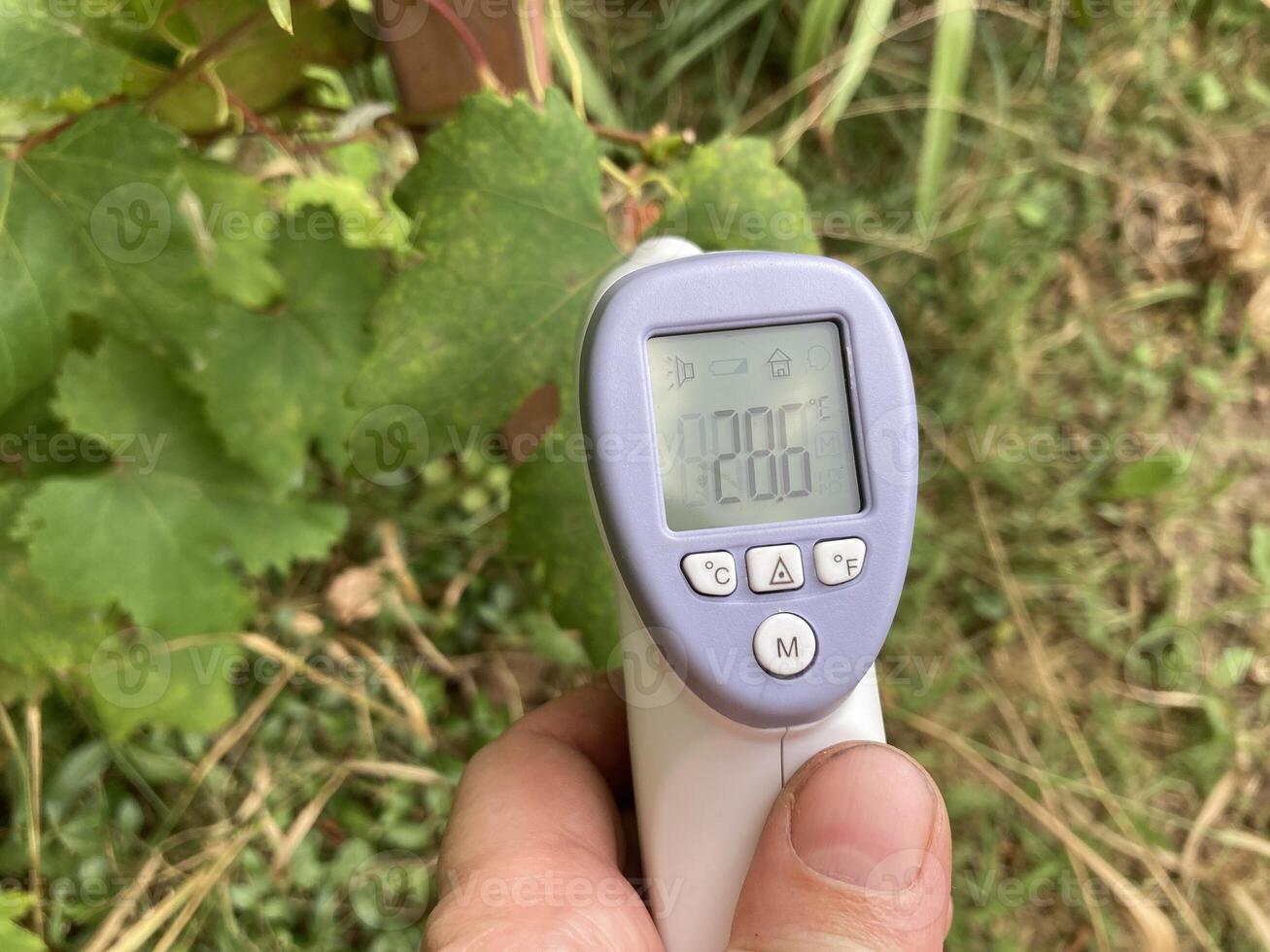 Measuring temperature with a non-contact thermometer photo