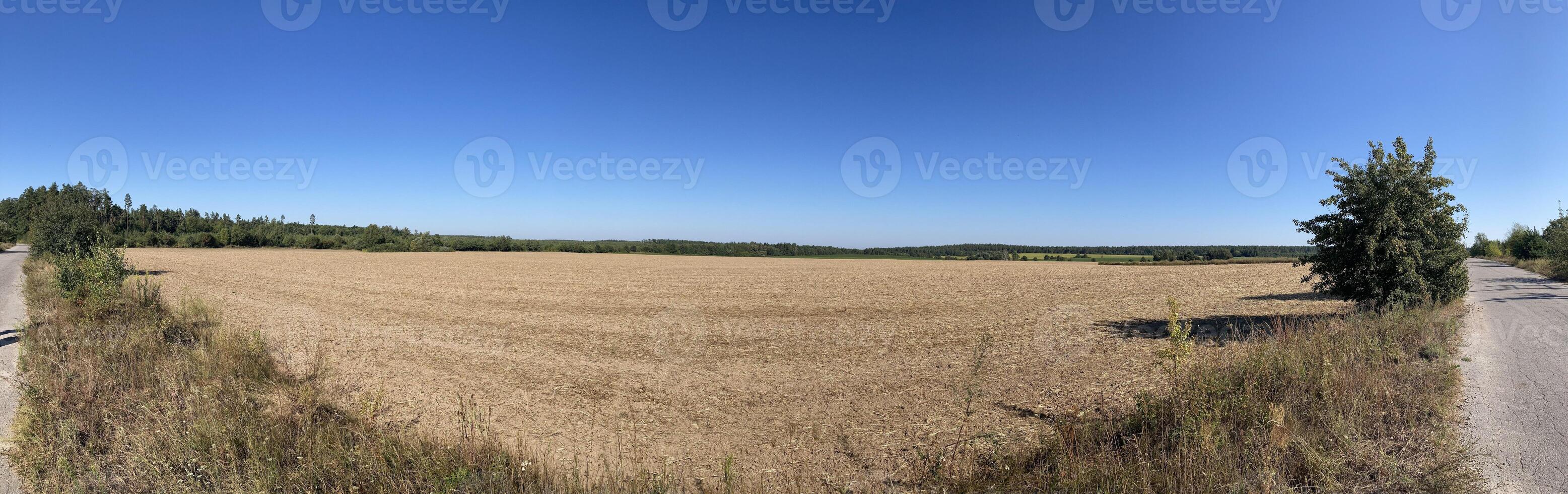 Panorama of a field after harvest photo