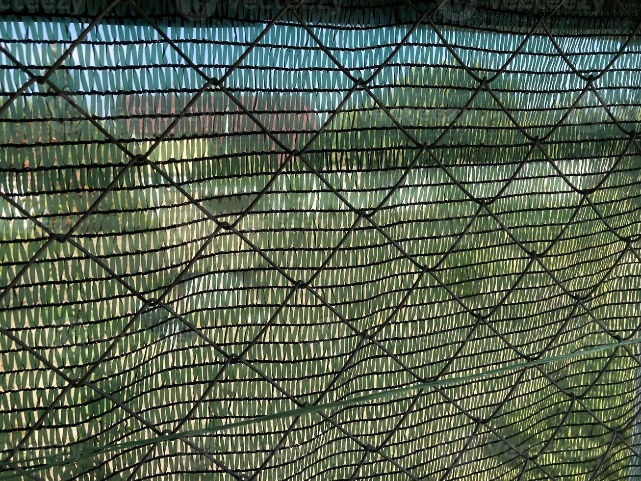 Installation of mosquito netting photo